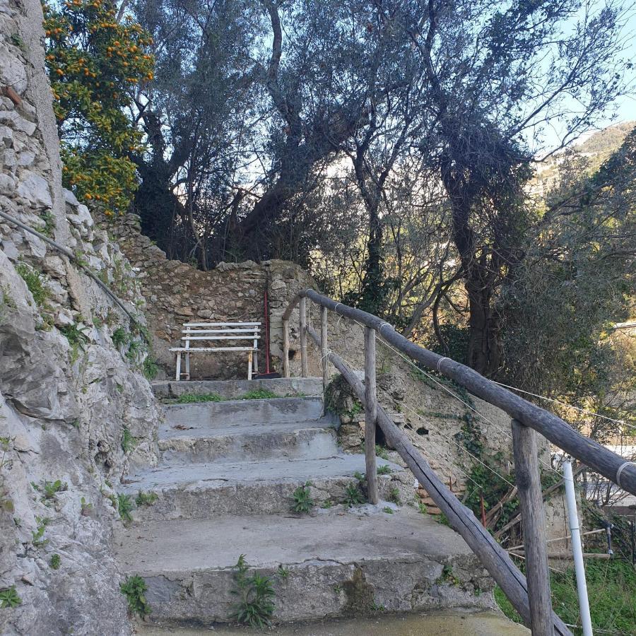 Villa Ines Maiori Dış mekan fotoğraf