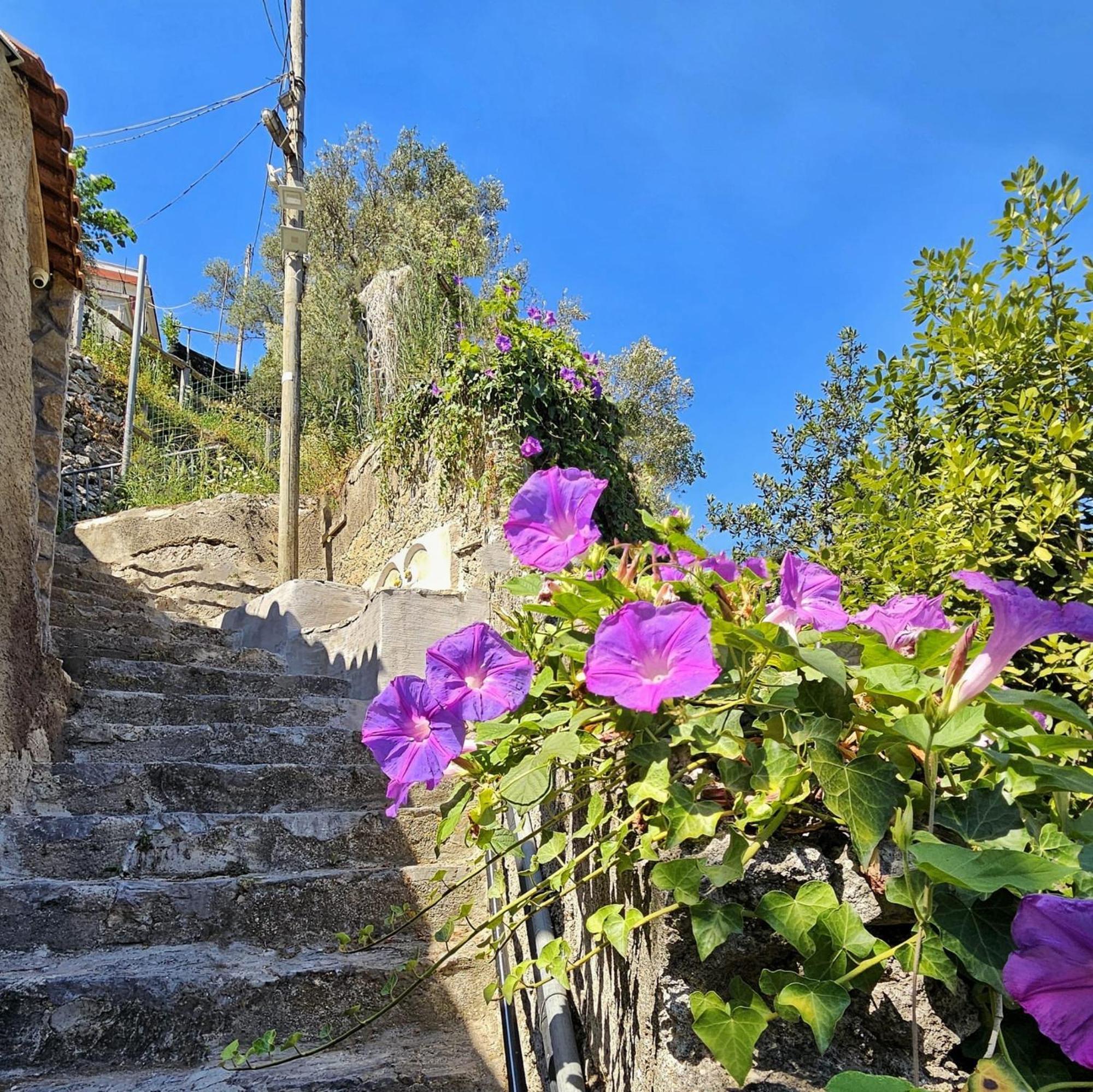Villa Ines Maiori Dış mekan fotoğraf